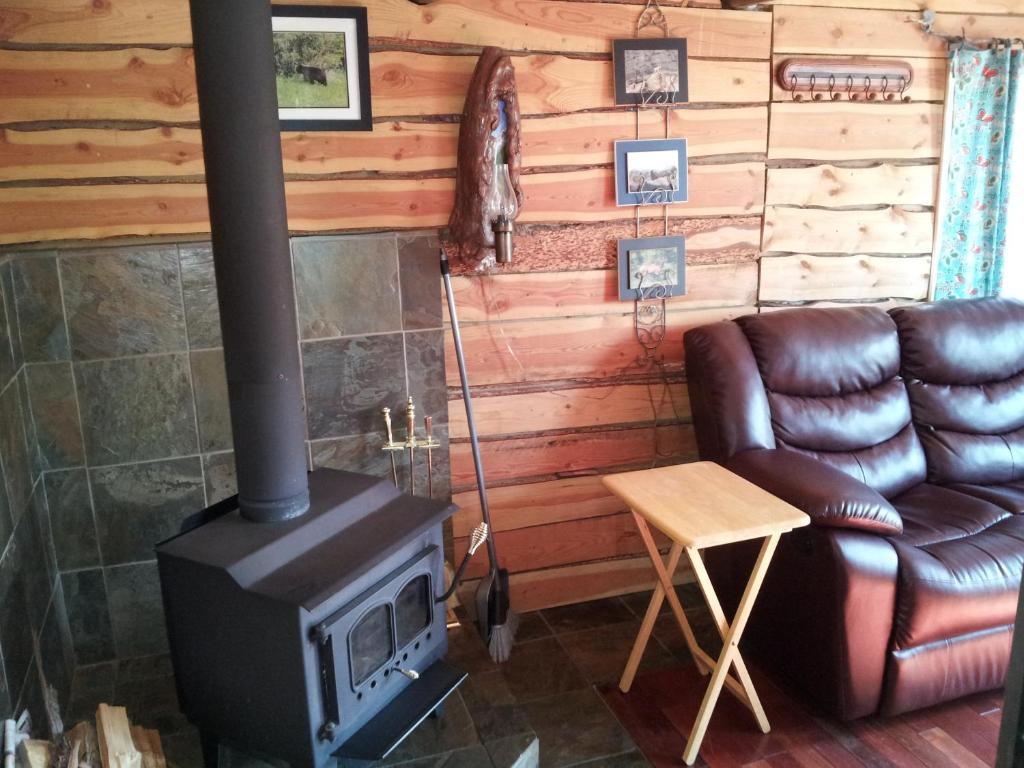 ホテルSteamboat Mountain Chalets Spillimacheen 部屋 写真