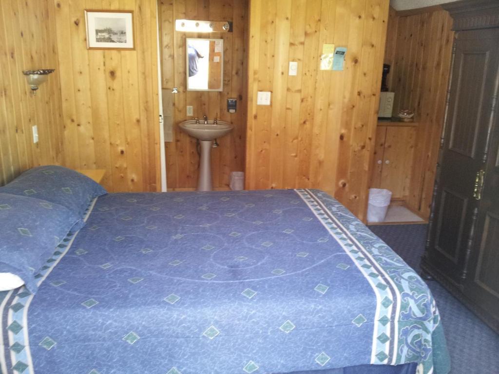 ホテルSteamboat Mountain Chalets Spillimacheen 部屋 写真