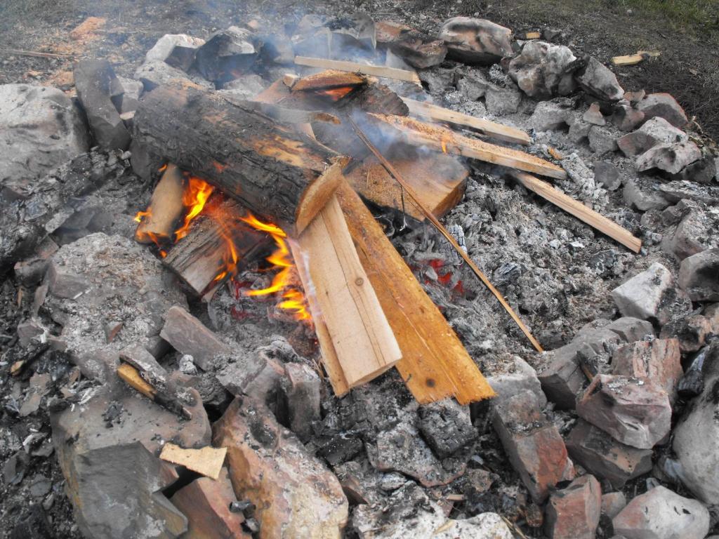 ホテルSteamboat Mountain Chalets Spillimacheen エクステリア 写真
